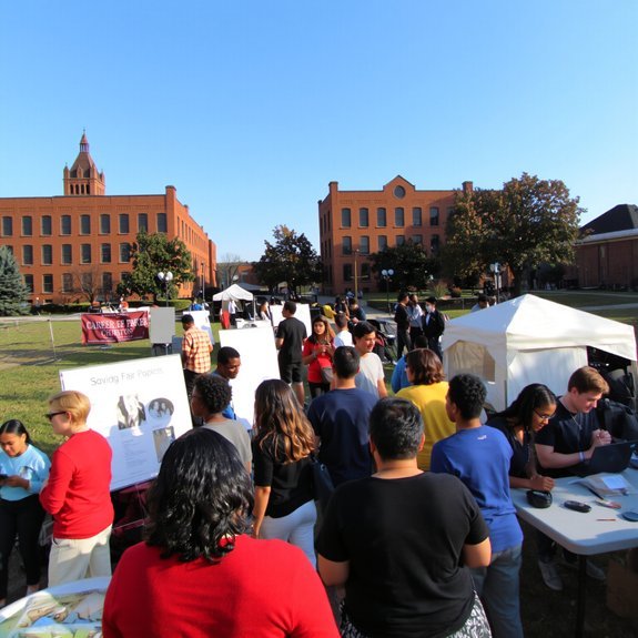 career exploration and analysis