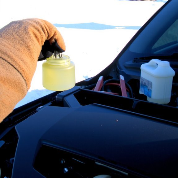 check and top fluids