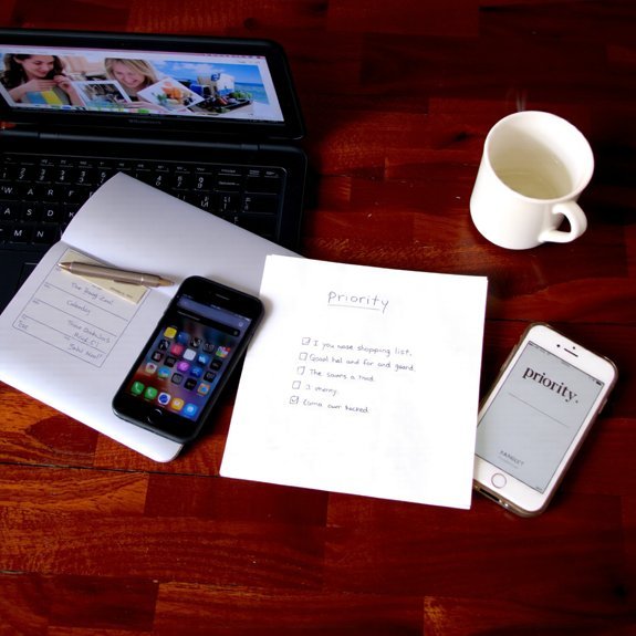 plan prioritize budget resist