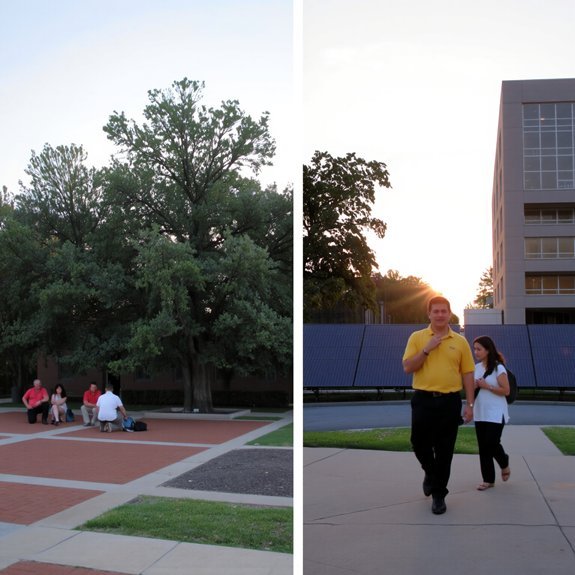 research opportunities and programs